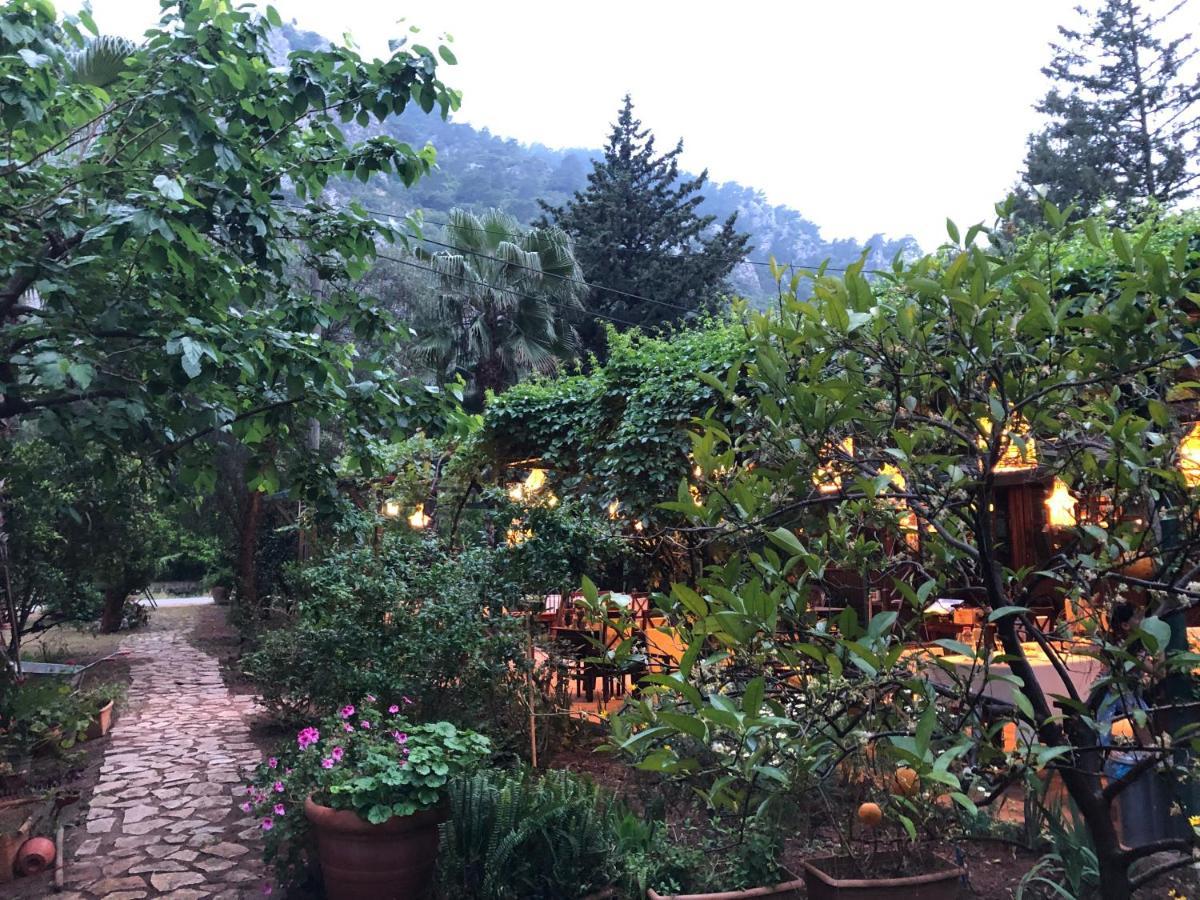 Çıralı Kibala Hotel מראה חיצוני תמונה