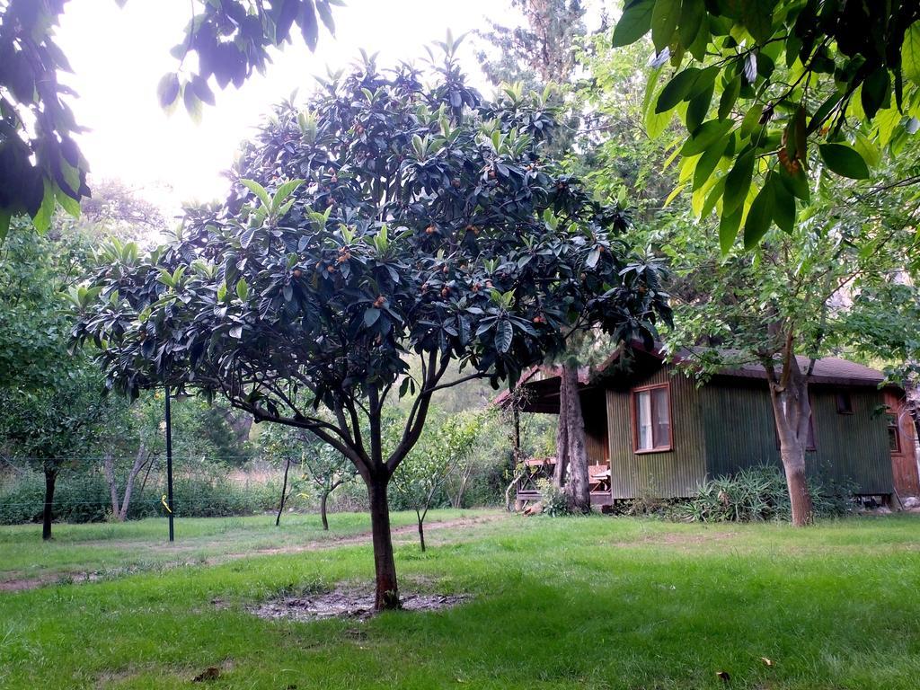 Çıralı Kibala Hotel מראה חיצוני תמונה