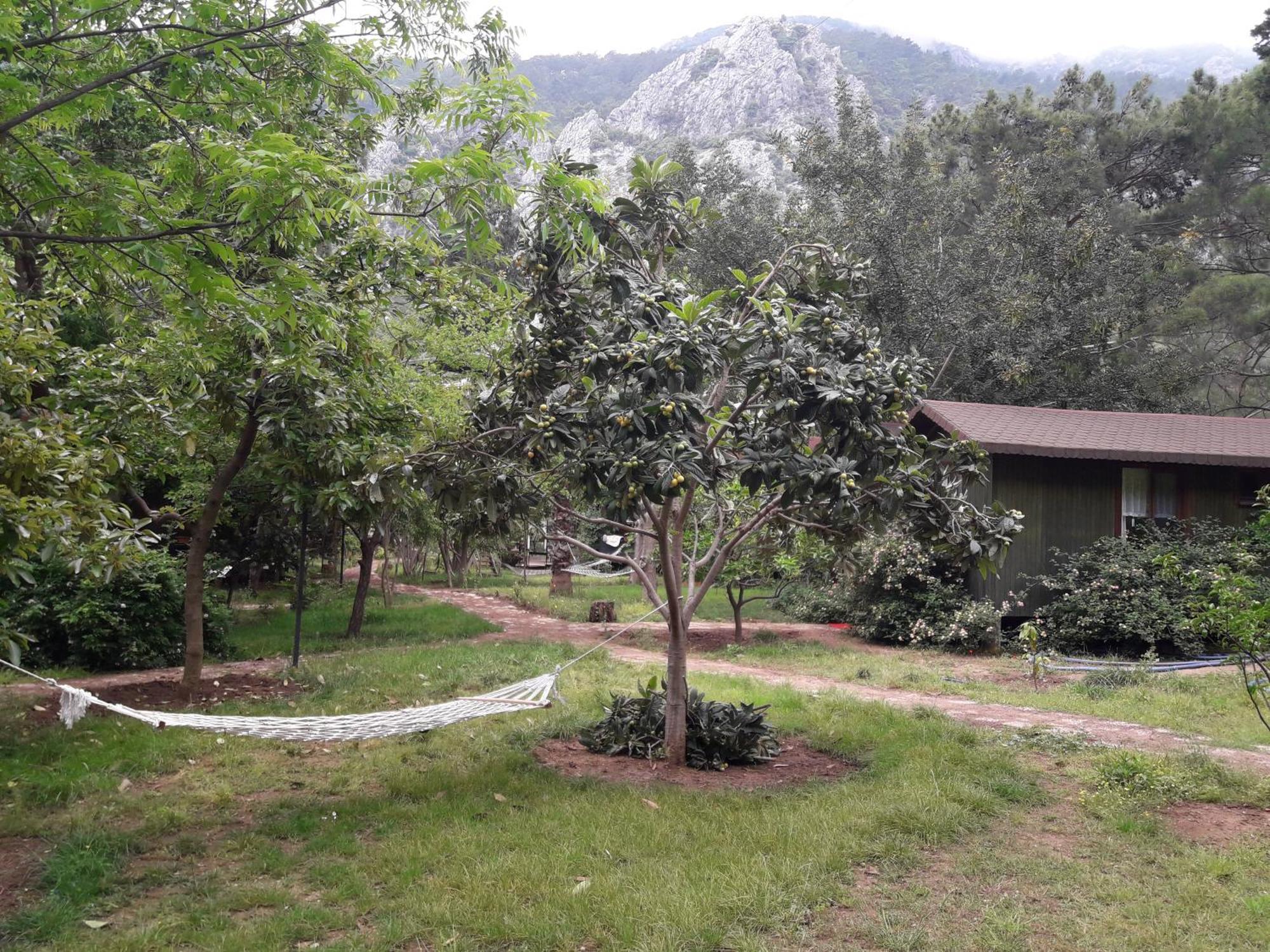 Çıralı Kibala Hotel מראה חיצוני תמונה