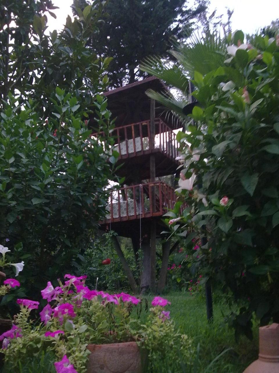 Çıralı Kibala Hotel מראה חיצוני תמונה