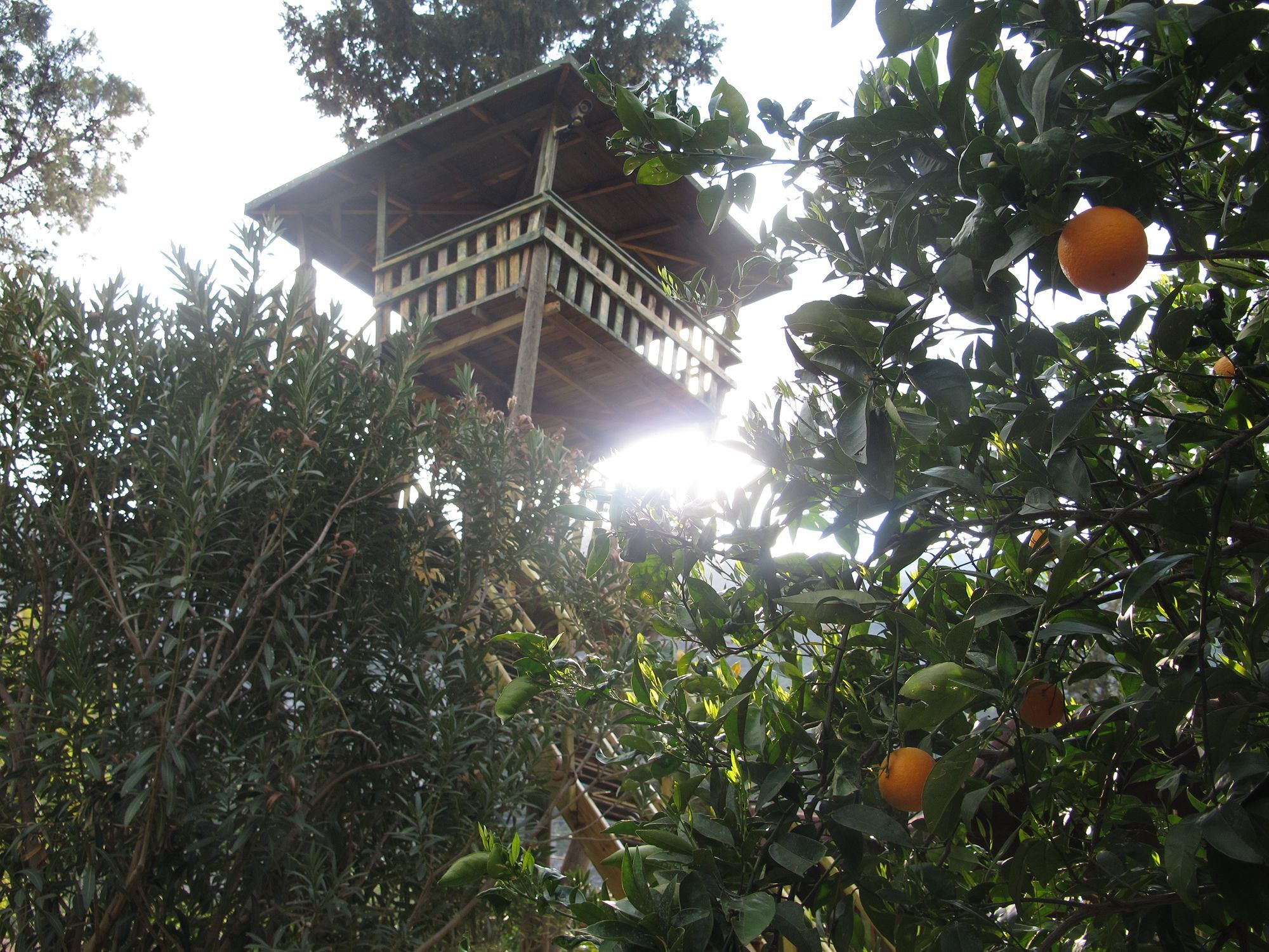 Çıralı Kibala Hotel מראה חיצוני תמונה